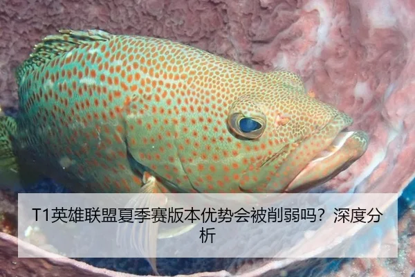 T1英雄联盟夏季赛版本优势会被削弱吗？深度分析